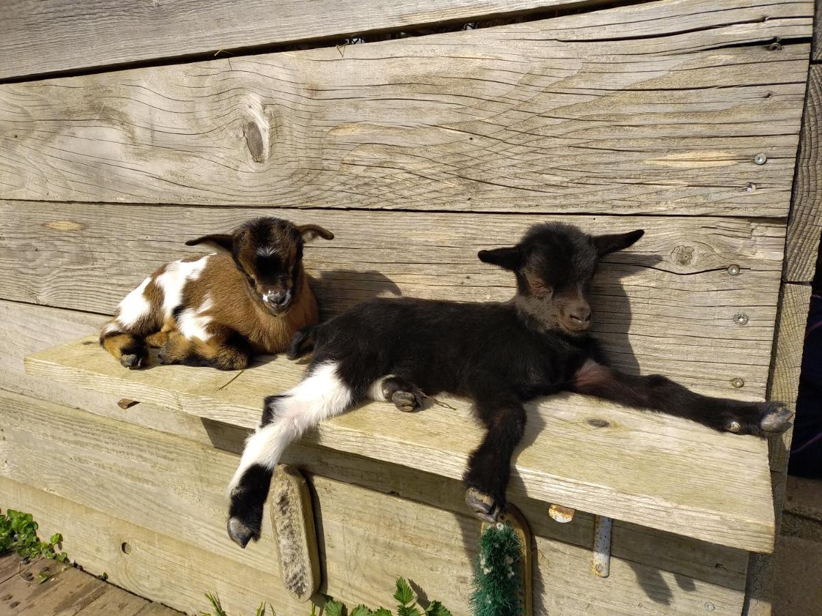 Bed and Breakfast A la campagne, au calme Monterolier Esterno foto